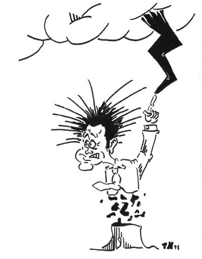 Avoir le coup de foudre